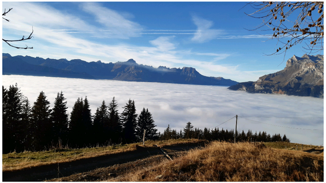 Nuages en montagne