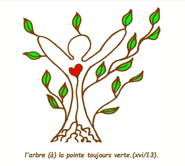 L'arbre à la pointe toujours verte, par Didier Br.