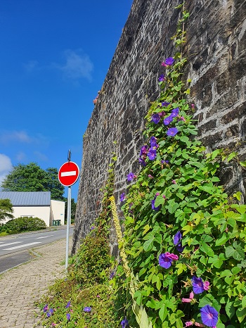 Citadelle et sens interdit, Abel Balanche