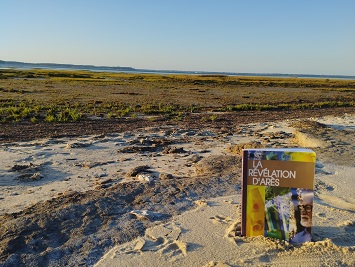 Abel plante La Révélation d'Arès