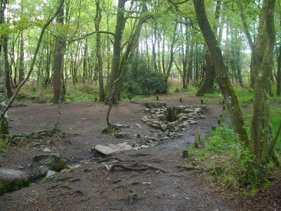 Fontaine de Baranton, Forêt de Brocéliande