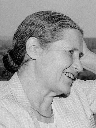 Doris lessing, an “insurger”