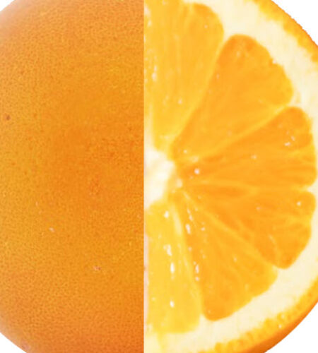 The apostle on the rotting orange