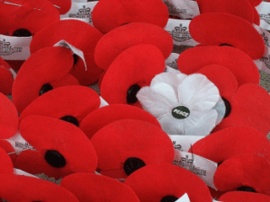 A white poppy, a still rare thing among the red ones, a symbol of peace, gentleness and especially hope.Cenotaphe of 2009 Anzac by Nankai. 