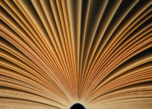 (Photo&nbsp;: Mohamed Marey, Unsplash)