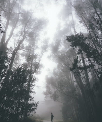 The fleeting supernatural, the fleeting earthly