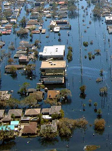 The moral of new orleans’ story