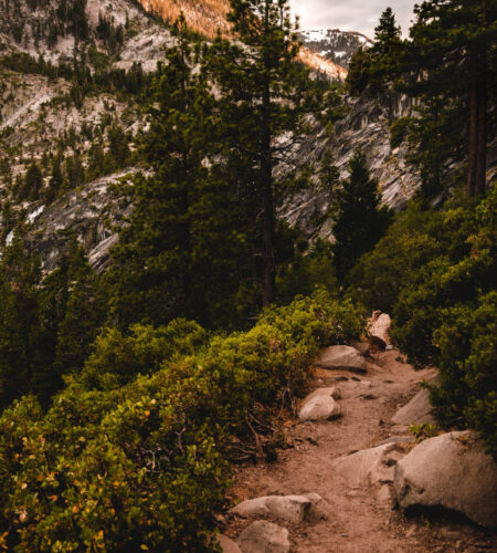 Goat paths